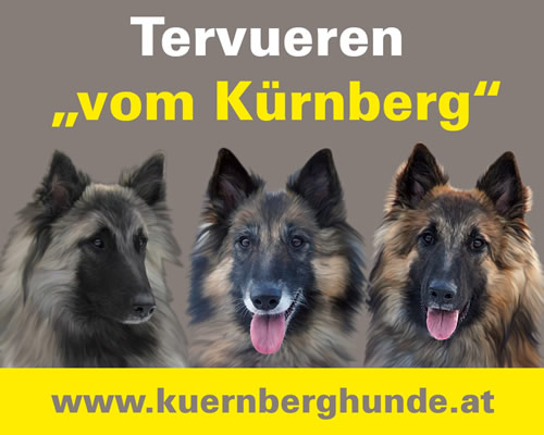 Tervueren "vom Kürnberg"